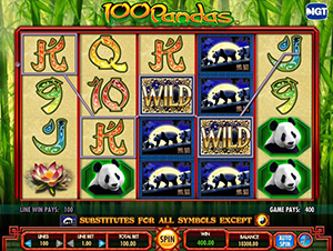 100 Pandas Slot Game